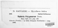 Septoria polygonorum image